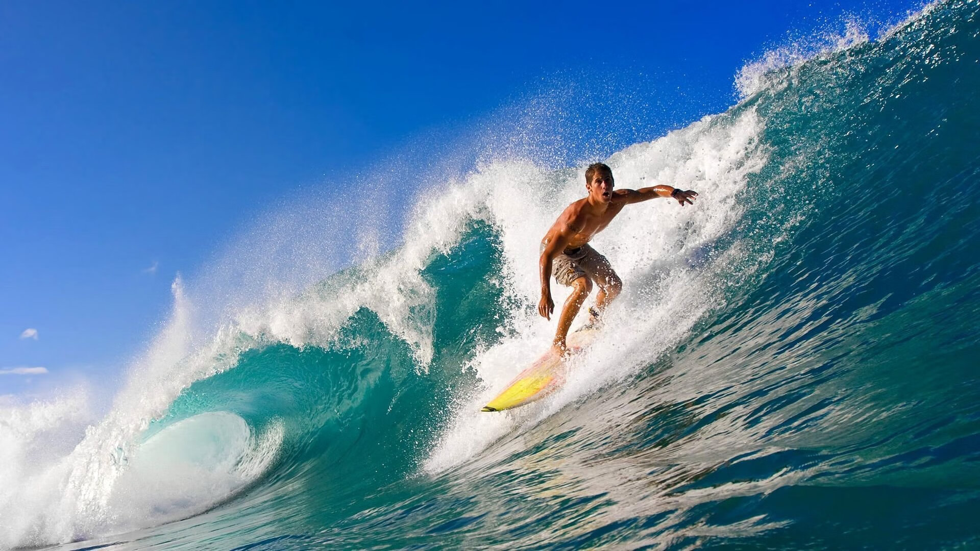巴西马术协会与德国马术协会建立战略合作伙伴关系,共同推动马术文化发展。
